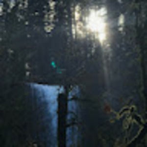 Meet your Posher, Martha